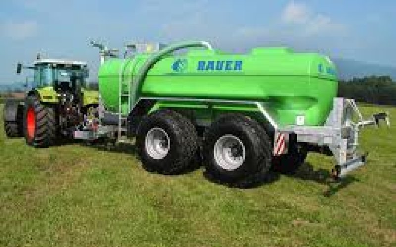 Bauer 